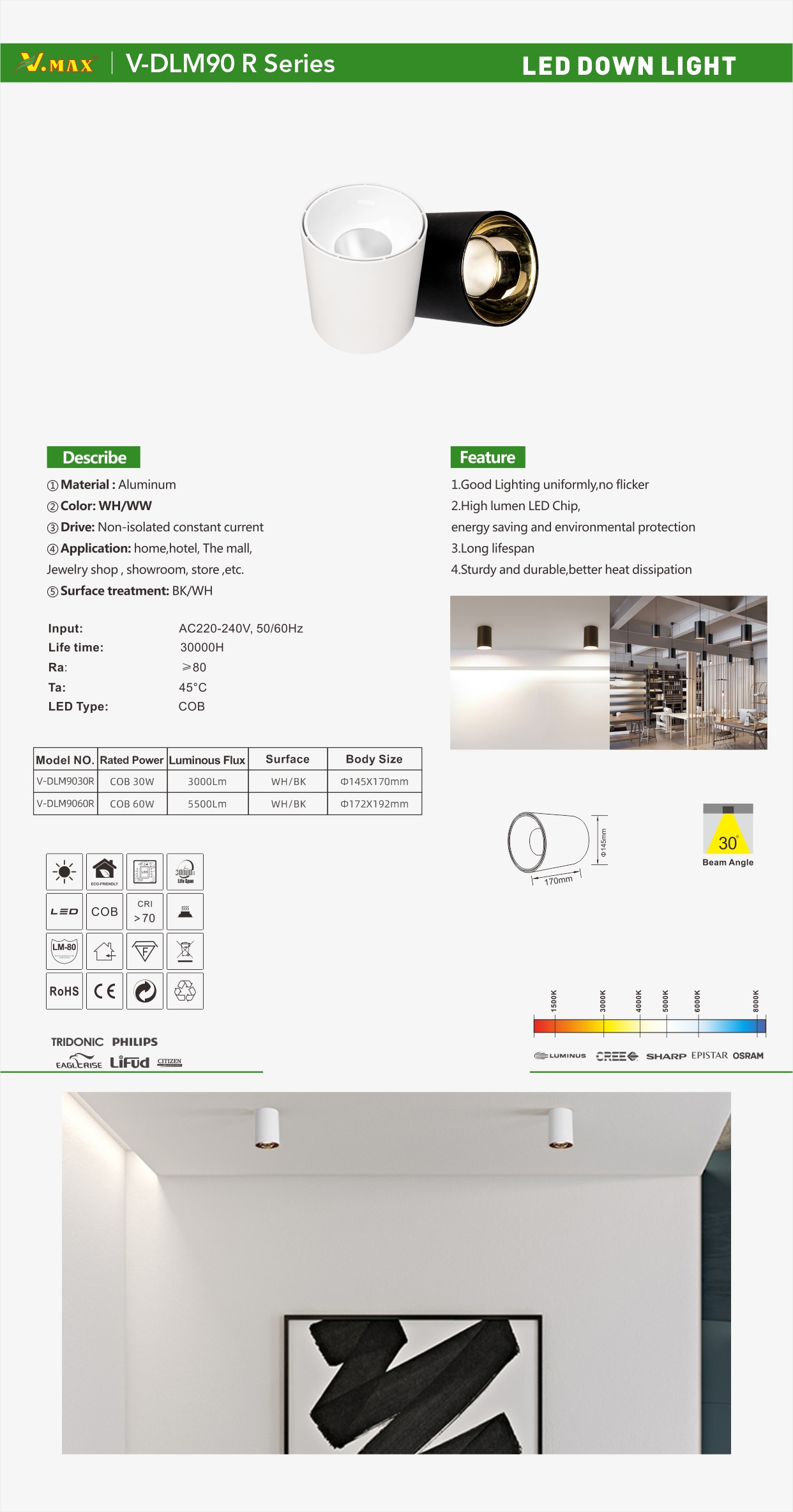 V-DLM90 R 单页.jpg